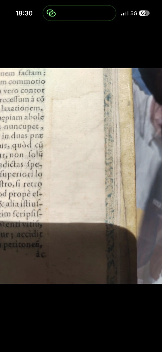 Oddo degli Oddi, Raro libro di medicina del 1574, Stampe artistiche, Carta, Bianco (foto 11 di 11)