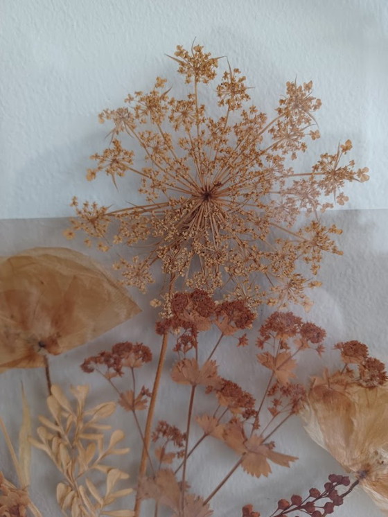 Image 1 of Vitrail botanique vintage des années 70. Fleurs et plantes séchées.