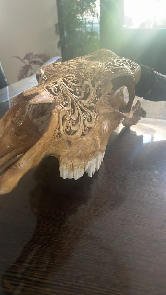 Image 1 of Buffalo skull with Buddha engraving