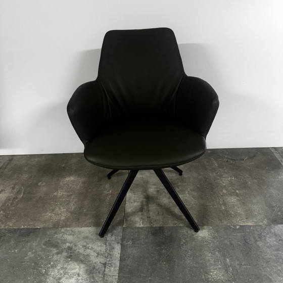 Maple private label  set van 4 – Bert Plantagie, Eetkamerstoelen, Leather, Calfskin (photo 2 of 4)