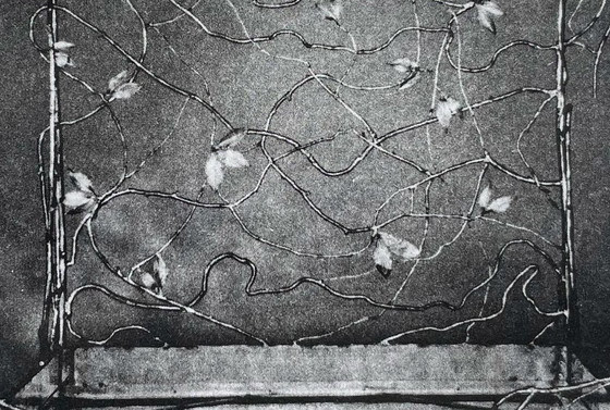 Image 1 of Claude Lalanne, Lit Bou, Heliogravure