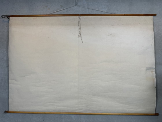 Image 1 of XL vintage linnen schoolkaart - ‘Relationships of the Animal Kingdom’