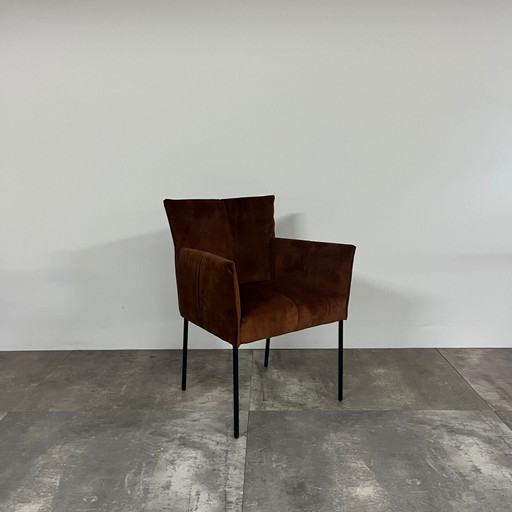 Bliss Set mit 6 Stück – Bert Plantagie, eetkamerstoelen