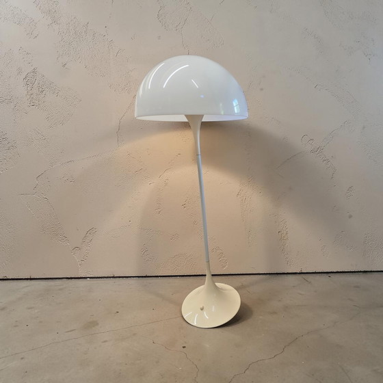 Image 1 of Phantanella lamp
