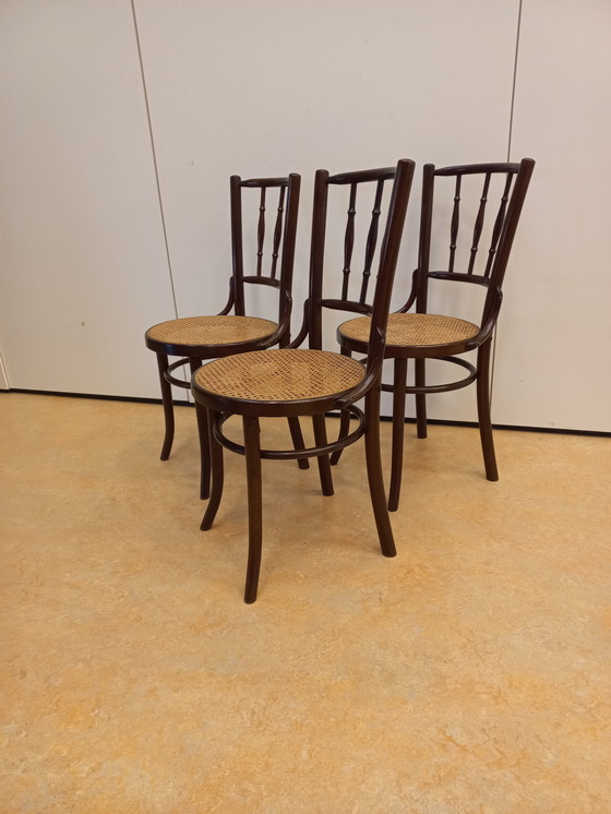 Image 1 of Satz von 3 Café-Stühlen im Thonet-Stil