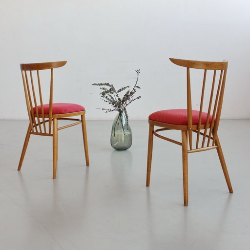 Zwei Stühle aus der Mitte des 20. Jahrhunderts, Tschechoslowakei, vollständig restauriert und neu bezogen, Vintage 1960er Jahre