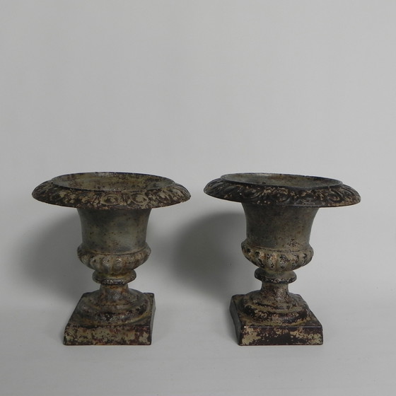 Image 1 of Lote de 2 jarrones de jardín Medicis de hierro fundido