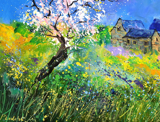 Image 1 of L'éveil du printemps