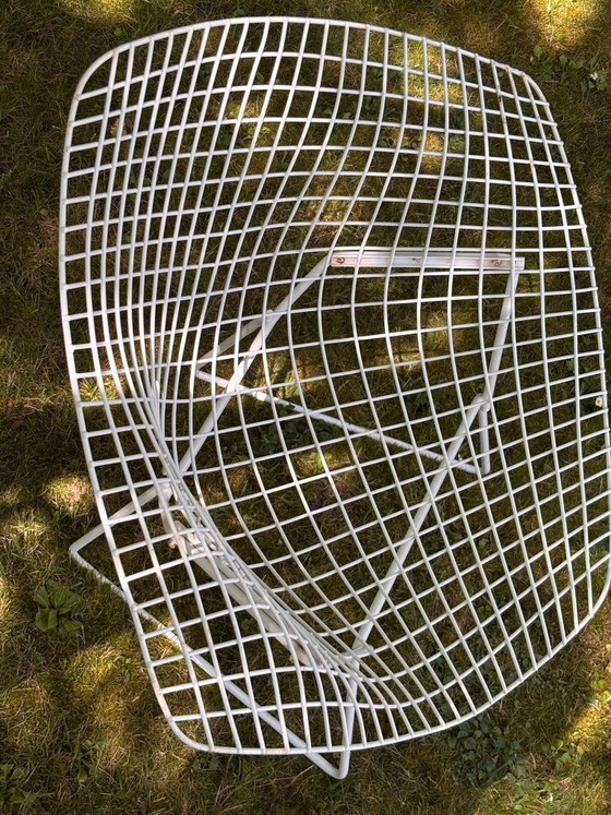 Image 1 of Bertoia Diamond fauteuil, Knoll-editie, ontwerp van Harry Bertoia, vintage jaren 70-80