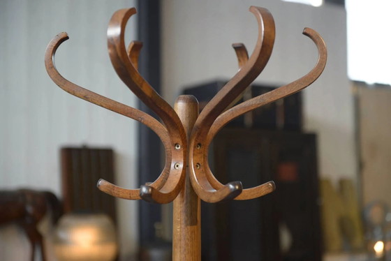 Parrot coat rack published by Baumann 1970 – Wood, Vintage (photo 4 of 8)