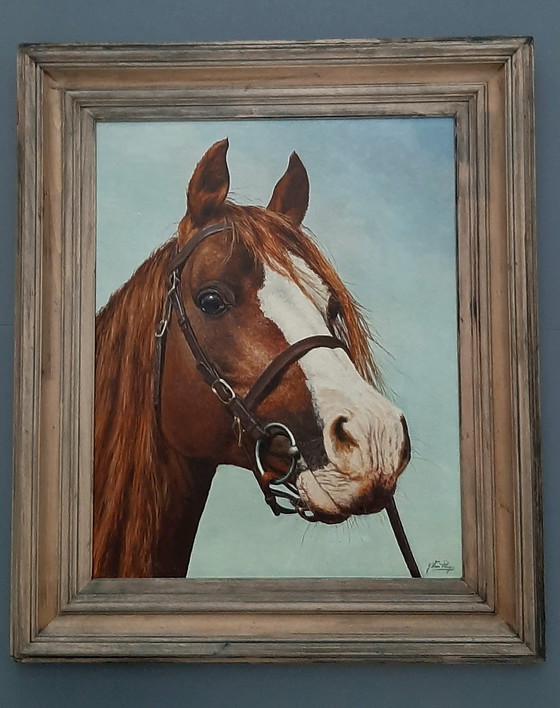 Image 1 of Dipingere la testa di cavallo