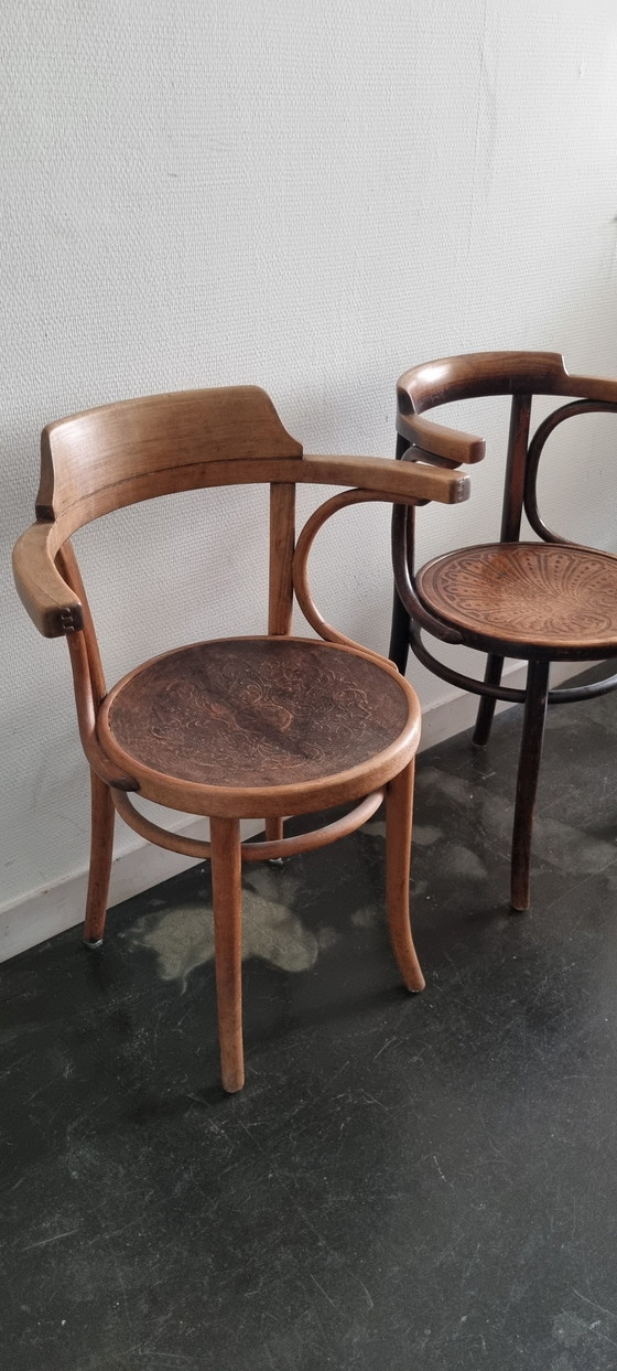 Image 1 of 2 Thonet stoelen