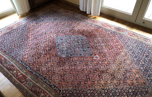Bidjar Extra Persian rug 329X220
