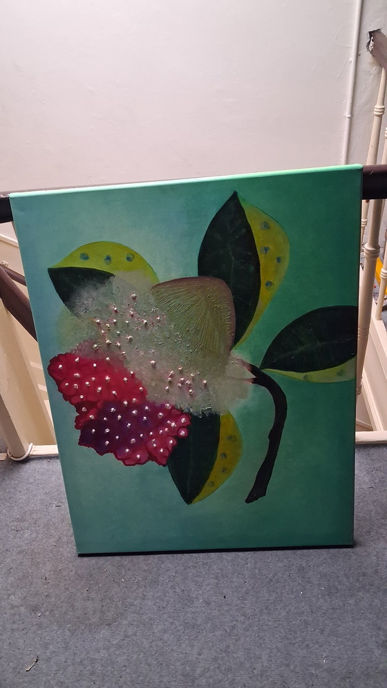 Image 1 of Fructus imaginae fruit of the imagination