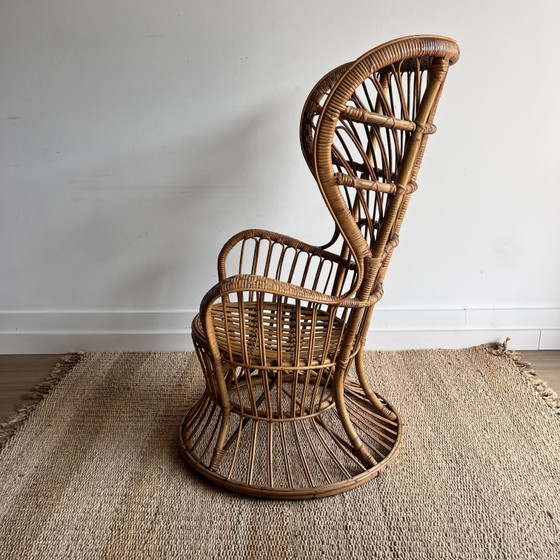 Gio Ponti Wingback Peacock Fauteuil – bonacina, Rattan (photo 3 of 6)