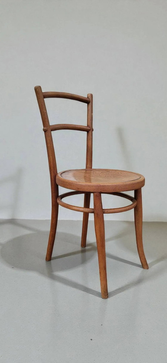 Sedia Bentwood, 1900, Ungvar – Sedie da pranzo, Vintage (photo 4 of 10)