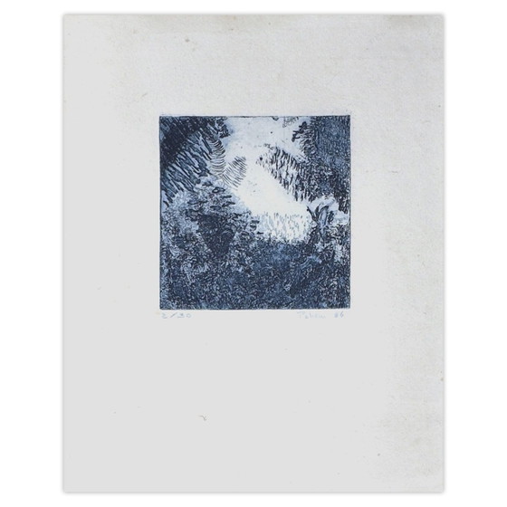 Image 1 of Monique PEHEM (BRETON-PROUTÉ) Taillis Grabado firmado 2006