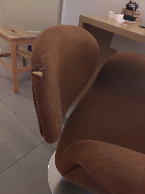 Sedia Artifort Tulip marrone. Comoda. Un po' rovinata. Possibilità di rivestimento.