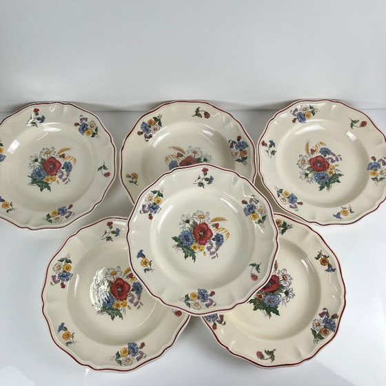 Set di 6 Piatti Fondi "Agreste" Sarreguemines, XX Secolo – Stoviglie, Ceramic (photo 6 of 8)