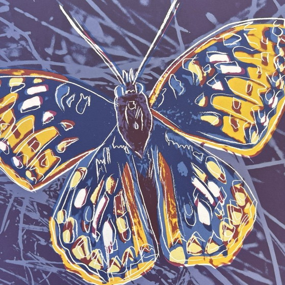 Image 1 of 1986 Carnegie Museum of Art After Andy Warhol "Butterfly" Lithograph