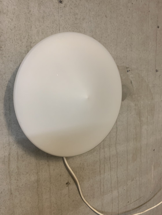 Image 1 of Discus van Raak Amsterdam B- 1411