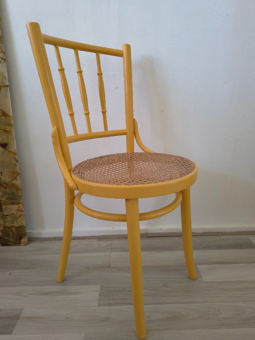 Chaise de Bistrot Vintage Style Thonet - Jaune Ocre / Rotin