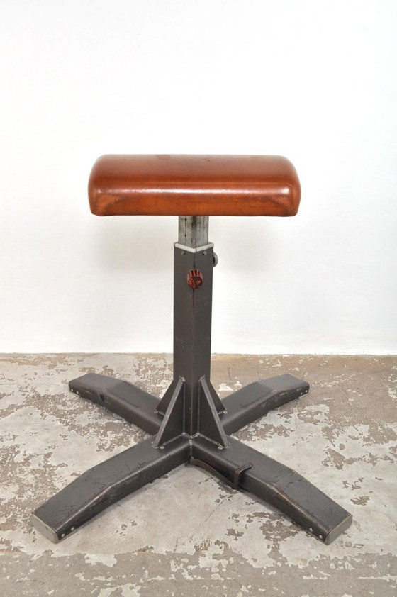 Image 1 of Cervo da ginnastica d'epoca come elemento di attrazione