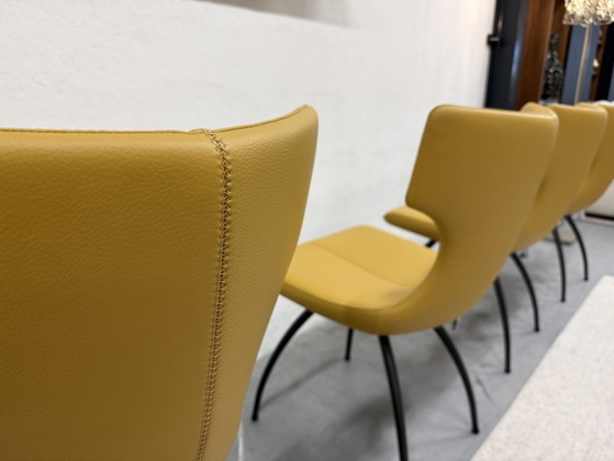 Image 1 of 4 Leolux Callas dining chairs yellow leather