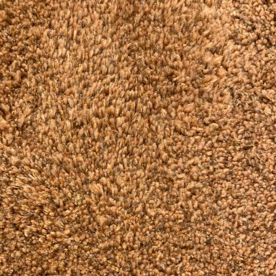 Image 1 of CS Rugs Sauvage rug - 160x220