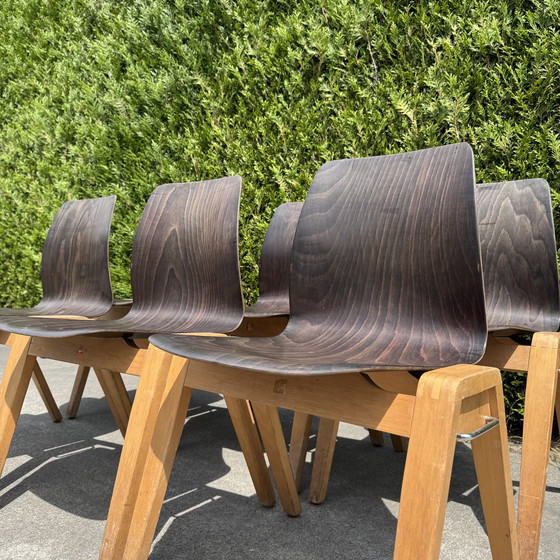 Image 1 of 16 Stühle - ADAM STEGNER für PAGHOLZ FLÖTOTTO