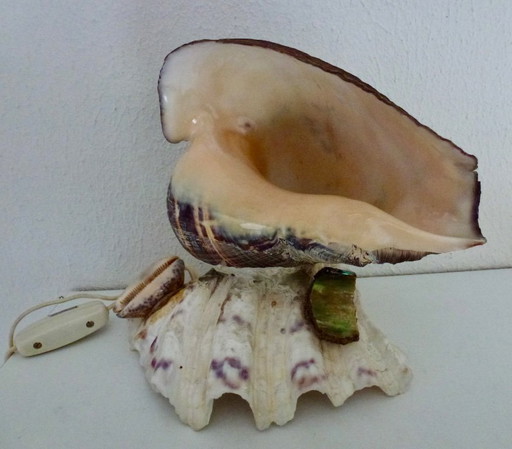 Preciosa lámpara hecha con una concha de abulón antigua.