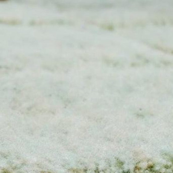 Image 1 of Beni Ourain Berber rug in natural wool, handmade, 2/3 m