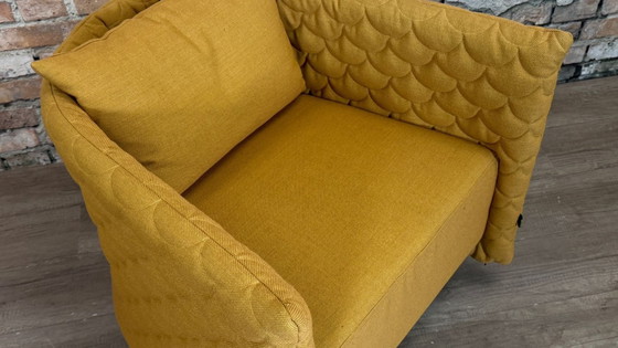 Image 1 of Ocre de la plaine nuageuse de Naughtone