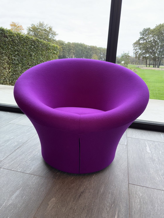 Image 1 of Fungo Artifort in Divina 666