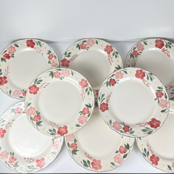 Image 1 of Set di 8 piatti grandi Cameo Florals Malaysia porcelain,1970-90