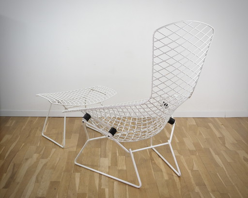 Knoll Int. Bertoia Bird Chair with ottoman in white