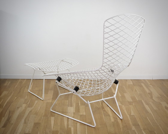 Image 1 of Knoll Int. Bertoia Bird Chair mit Ottomane in weiß