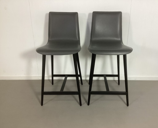 2 Maria Lee Design Barkrukken California