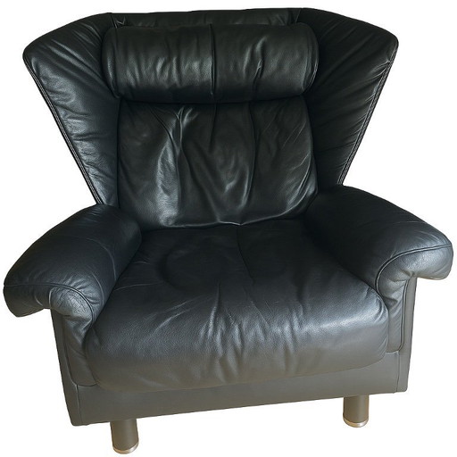 Fauteuil vintage deSede