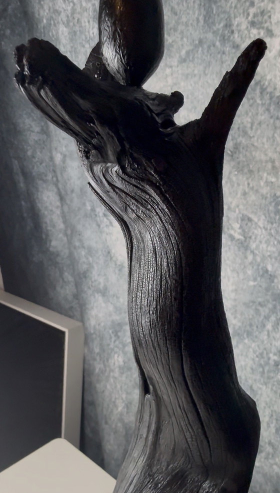 Lady Venom di Rotan Hunt Scultura e Luce – Sculture, Wood (photo 8 of 15)