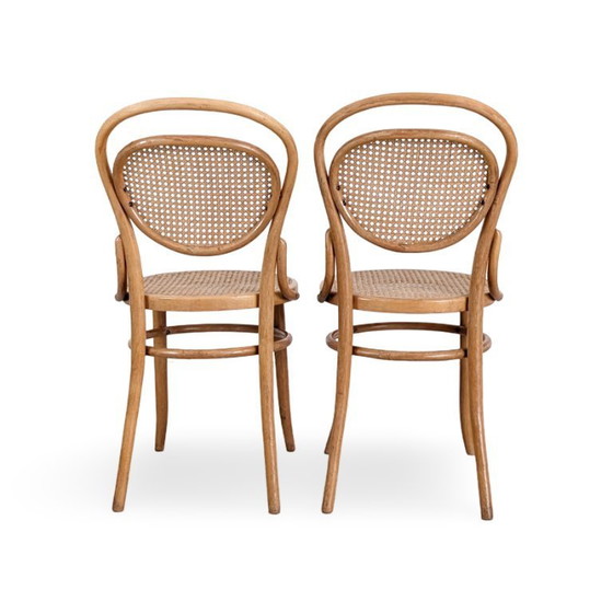 Image 1 of Set di 2 sedie originali in legno curvato J J Kohn Mundus, simili alla Thonet n. 15