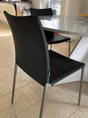 Zanotta Lia chairs
