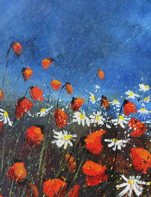 Coquelicots rouges