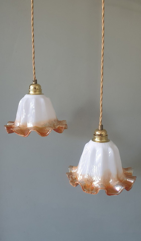 Set of Vintage Glass Pendant Lights. Floral / Flower-shaped Glass – Pendant lamps, Metal (photo 11 of 24)