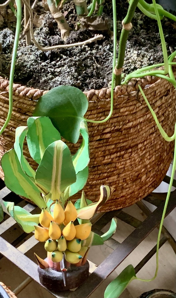 Bernadette Schillings Painted Wooden Banana Tree 30 cm – Decorative Objects (photo 13 of 14)
