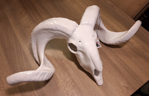 Beautiful Ceramic Aries Skull