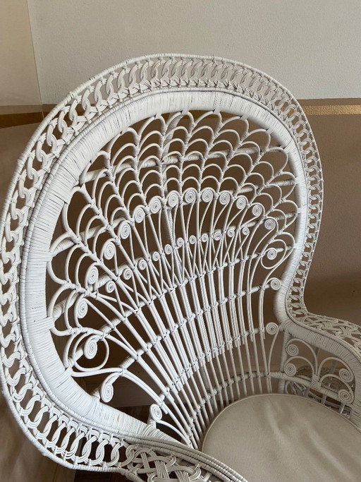 Peacock chair