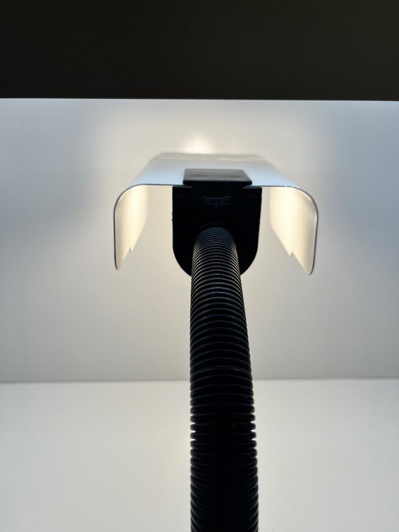 Image 1 of Sankey Gino Sarfatti Table Lamp for Targetti, Cream Brass, Black Plastic