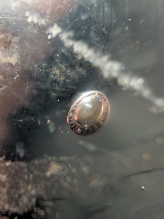 Image 1 of Lila Murano-Glas-Aschenbecher mit Bläschen