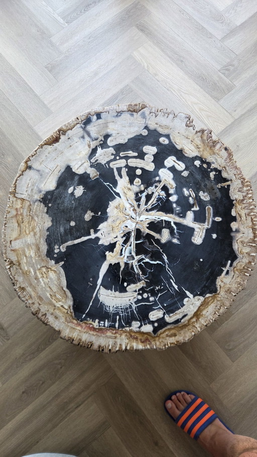 Table Basse en Bois Pétrifié!!!